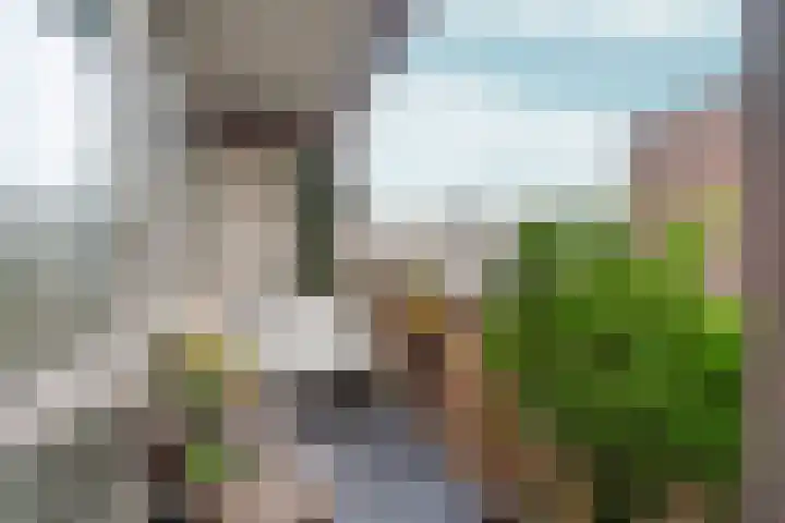 Houthof 25 Nijmegen thumbnail 10