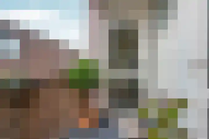 Houthof 25 Nijmegen thumbnail 11