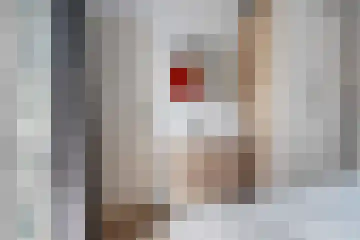 Houthof 25 Nijmegen thumbnail 13