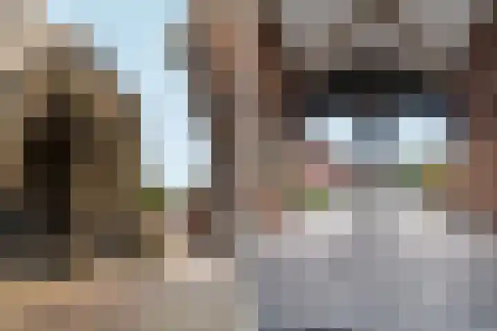 Houthof 25 Nijmegen thumbnail 16