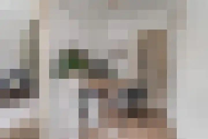 Houthof 25 Nijmegen thumbnail 7