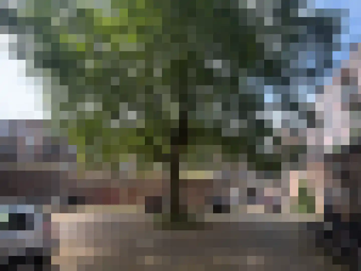 Houthof 42 Nijmegen thumbnail 5