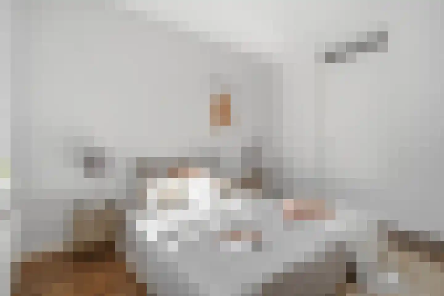 Houthof 44 Nijmegen thumbnail 16