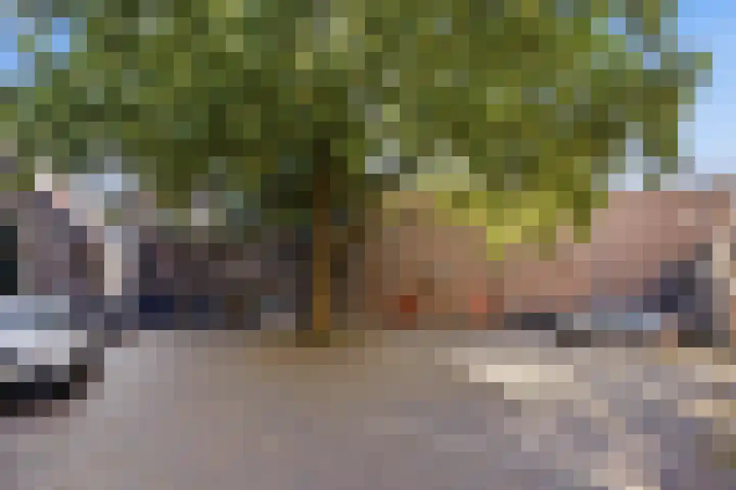 Houthof 44 Nijmegen thumbnail 34