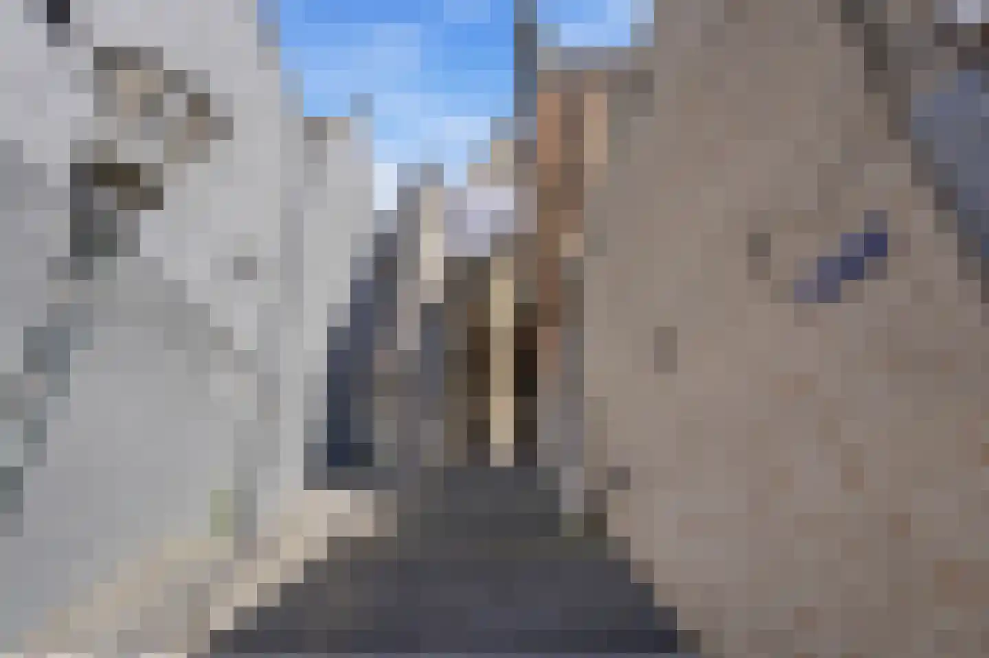 Houthof 44 Nijmegen thumbnail 44