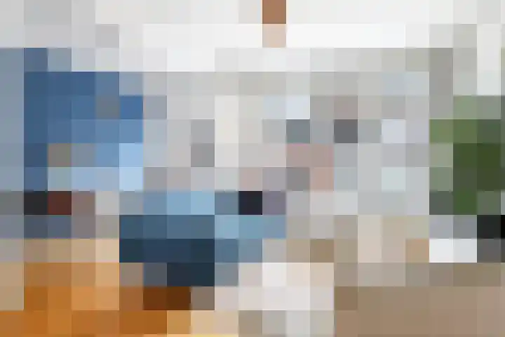 Houthof 57 Nijmegen thumbnail 18