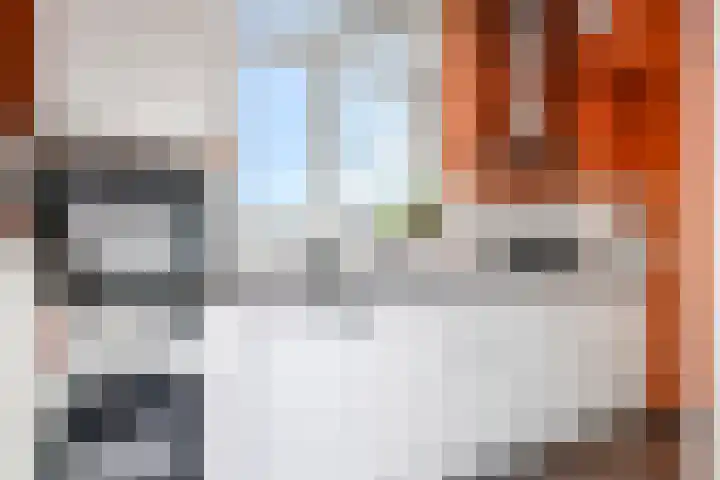 Houthof 57 Nijmegen thumbnail 31