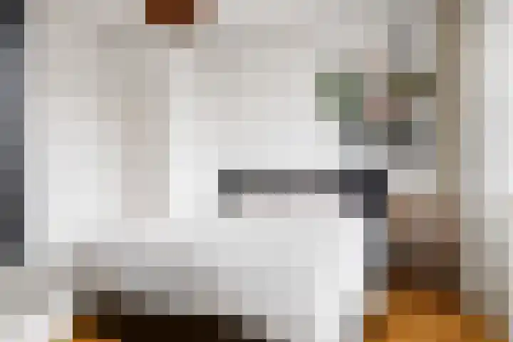 Houthof 57 Nijmegen thumbnail 37