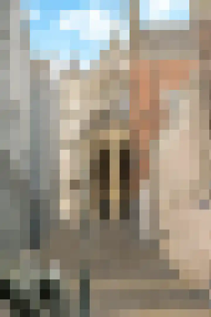 Houthof 57 Nijmegen thumbnail 54