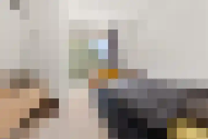 Houthof 59 Nijmegen thumbnail 13
