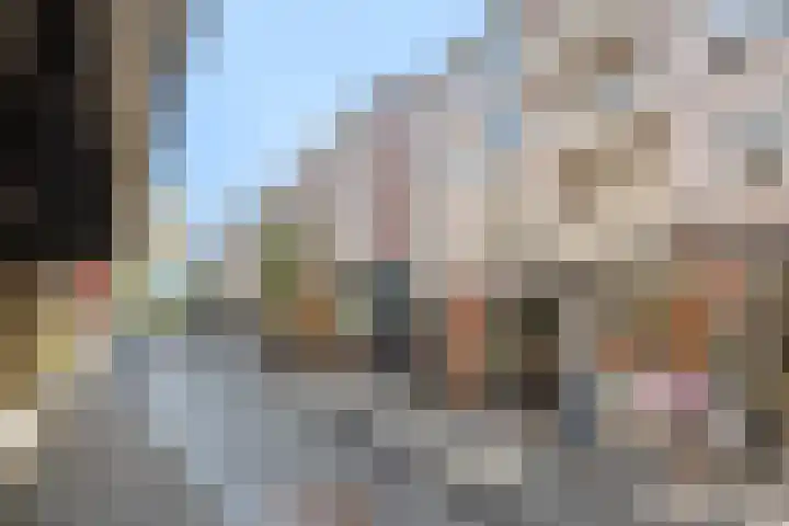 Houthof 59 Nijmegen thumbnail 24