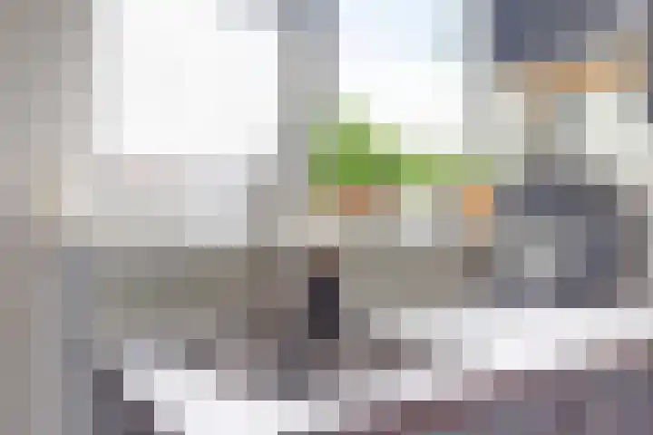 Houthof 68 Nijmegen thumbnail 13