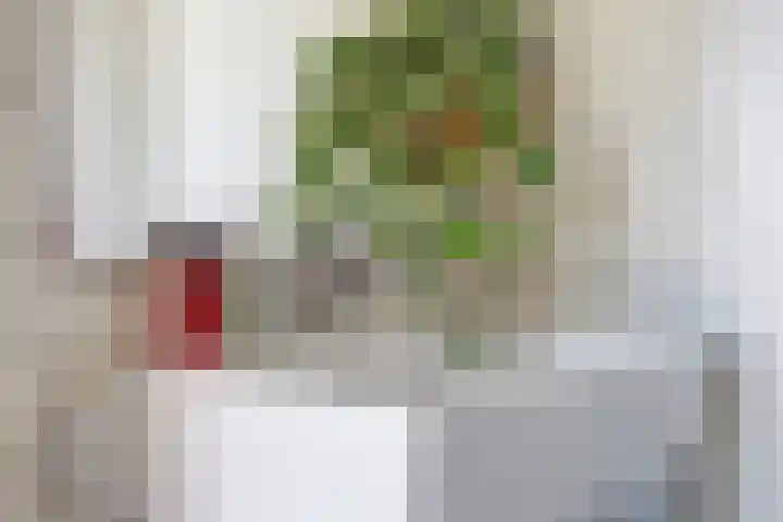 Houthof 68 Nijmegen thumbnail 26