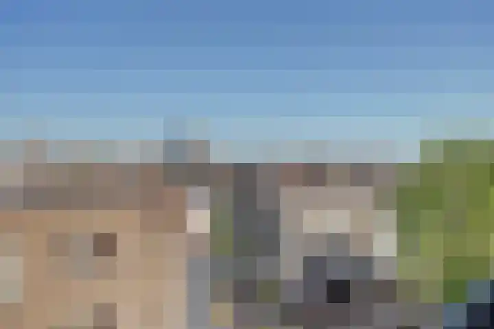 Houthof 68 Nijmegen thumbnail 33