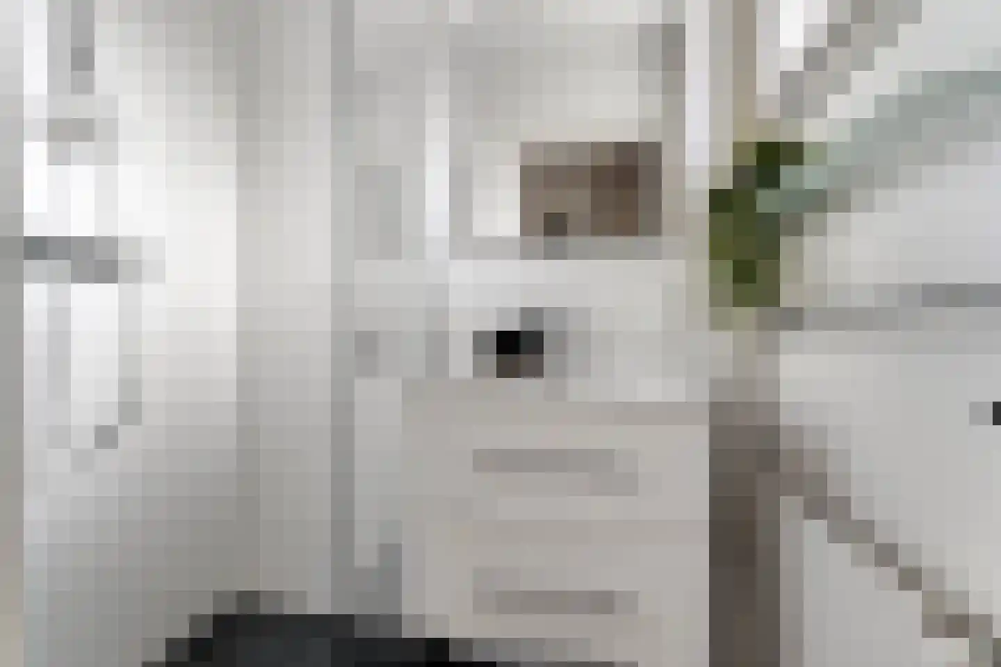 Houthof 77 Nijmegen thumbnail 13