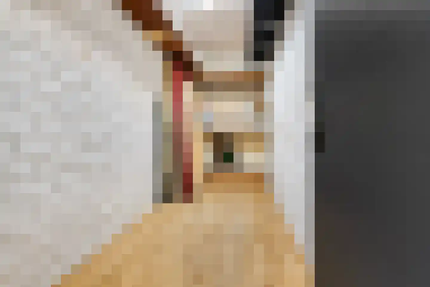 Houthof 77 Nijmegen thumbnail 15