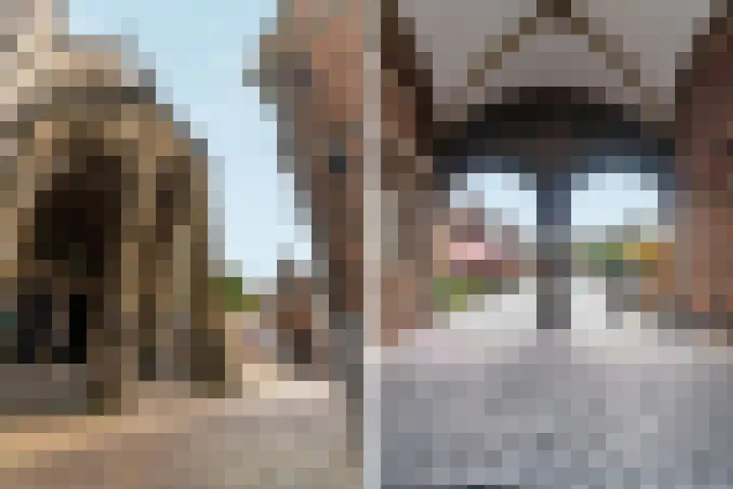 Houthof 77 Nijmegen thumbnail 18