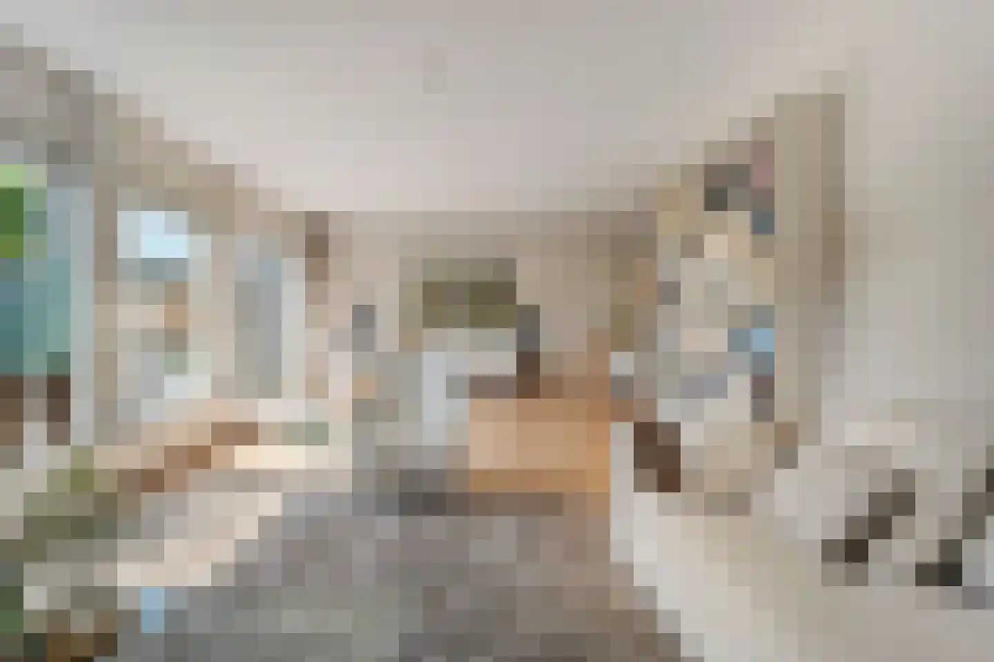 Houtingkolk 13 Zwolle thumbnail 12