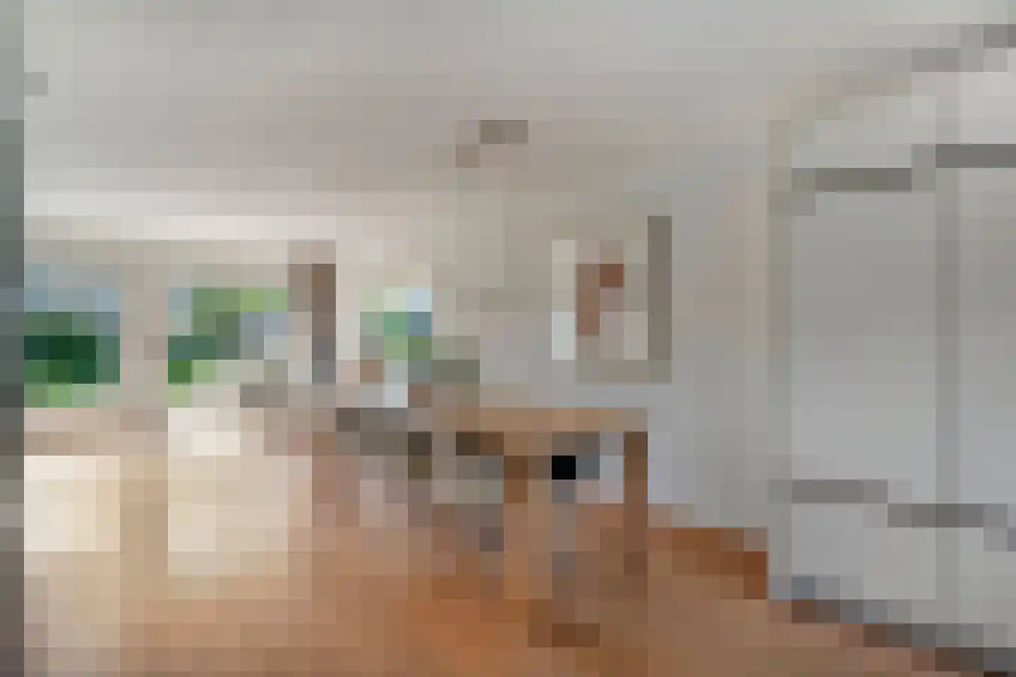 Houtingkolk 13 Zwolle thumbnail 20