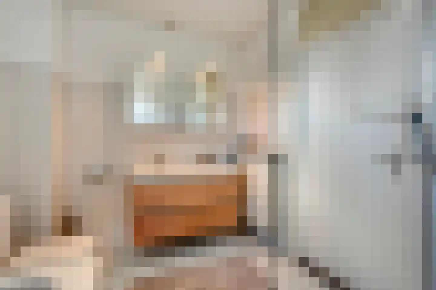 Houtingkolk 13 Zwolle thumbnail 35