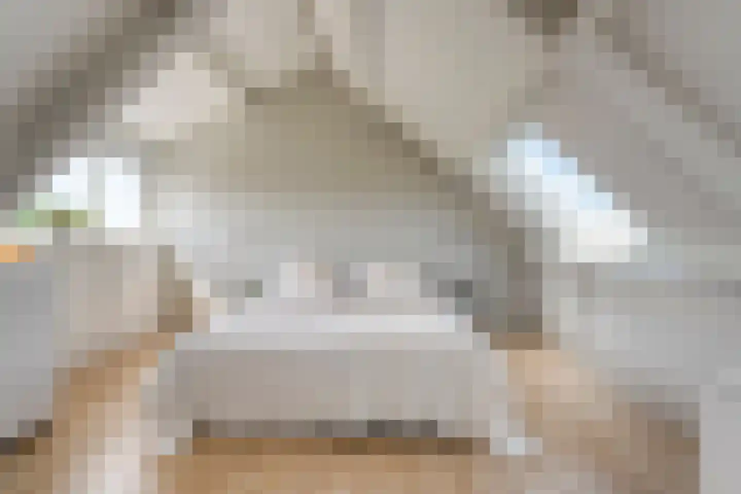 Houtingkolk 13 Zwolle thumbnail 36