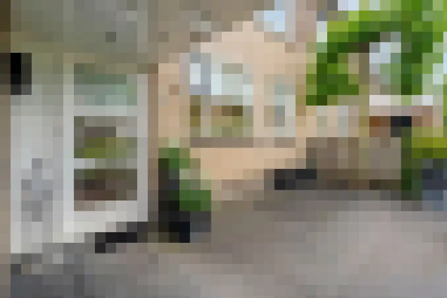 Houtingkolk 13 Zwolle thumbnail 4