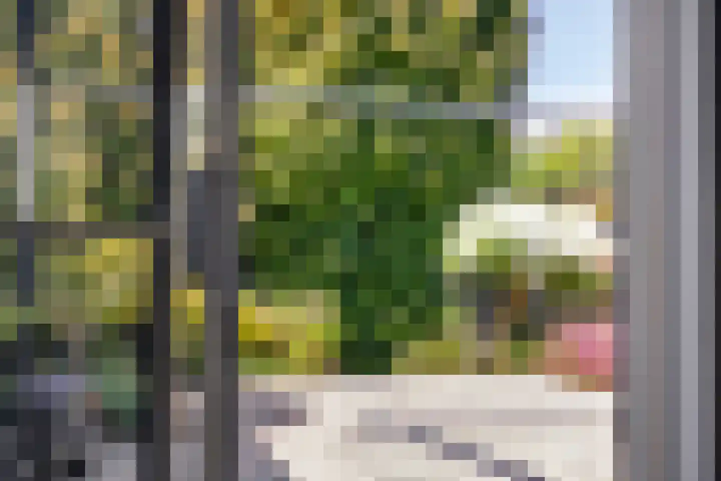 Houtingkolk 15 Zwolle thumbnail 13