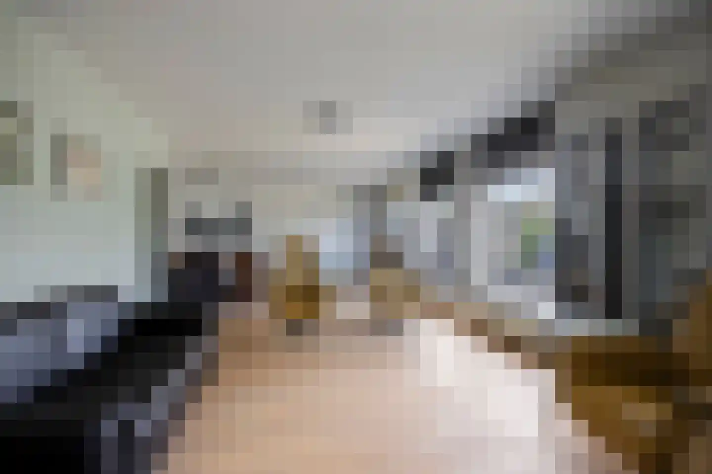 Houtingkolk 15 Zwolle thumbnail 15