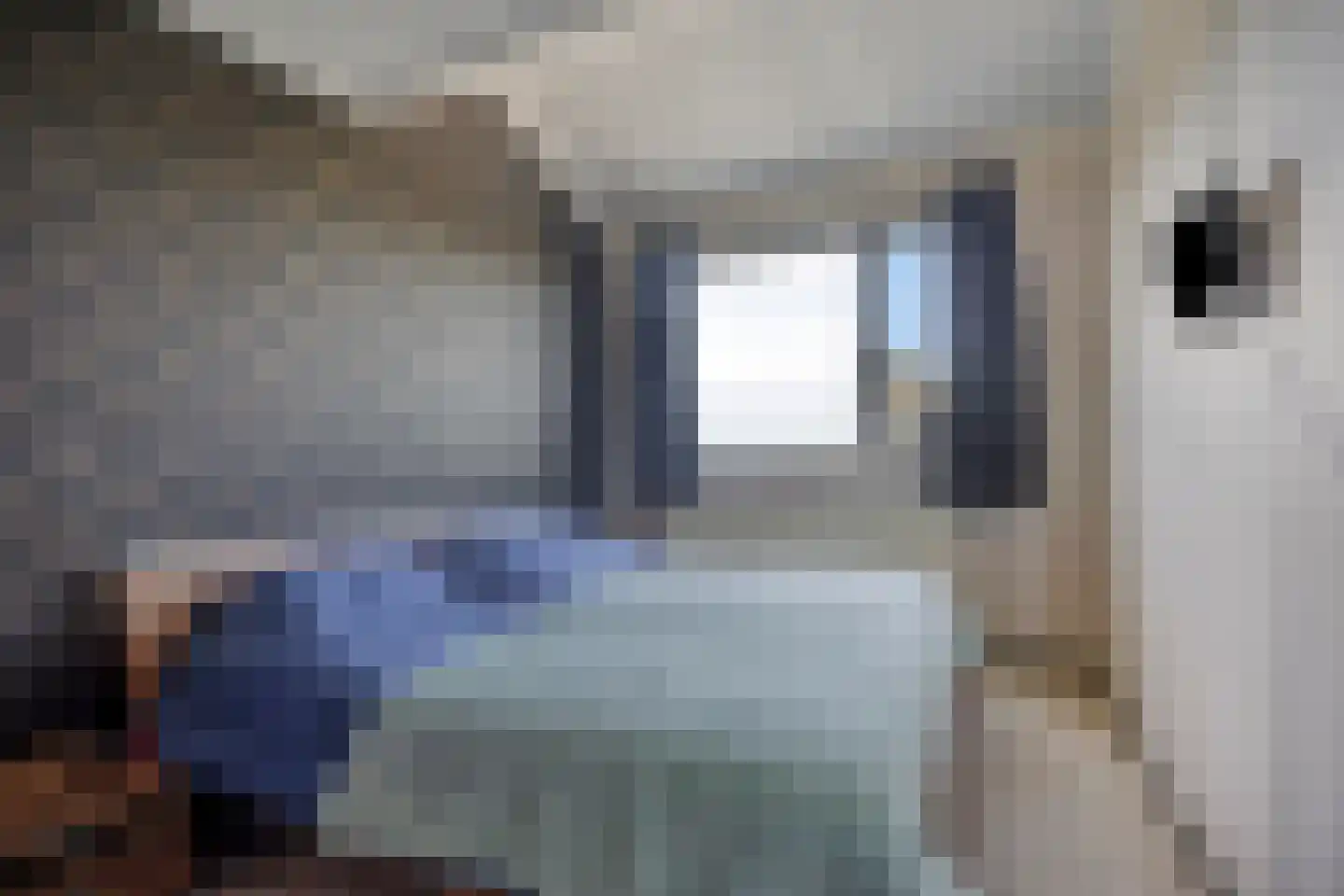 Houtingkolk 15 Zwolle thumbnail 22