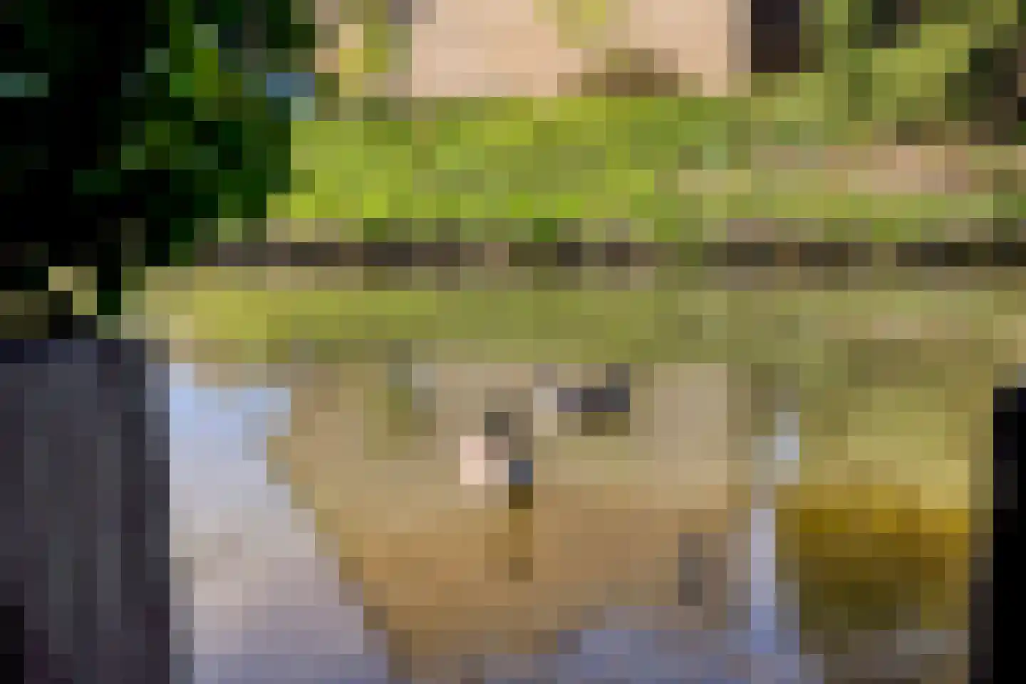 Houtingkolk 15 Zwolle thumbnail 37