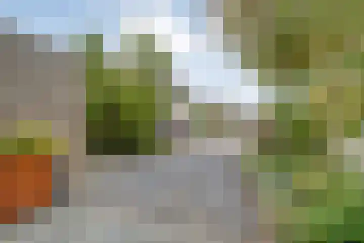 Houtingkolk 30 Zwolle thumbnail 40