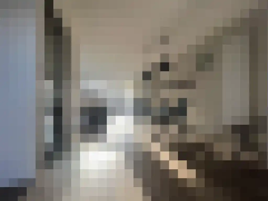 Houtingkolk 6 Zwolle thumbnail 4