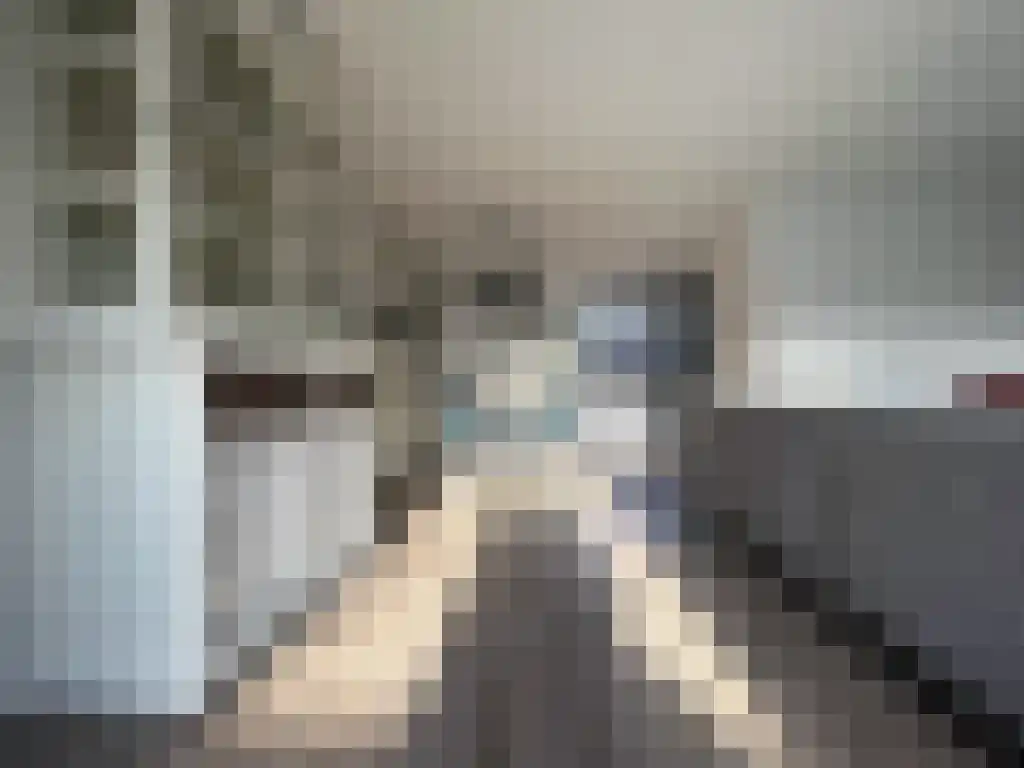 Houtingkolk 6 Zwolle thumbnail 5