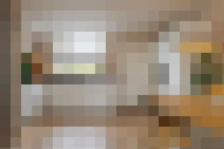 Houtingkolk 8 Zwolle thumbnail 17
