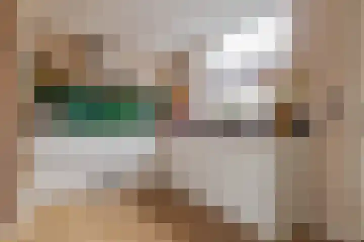 Houtingkolk 8 Zwolle thumbnail 18