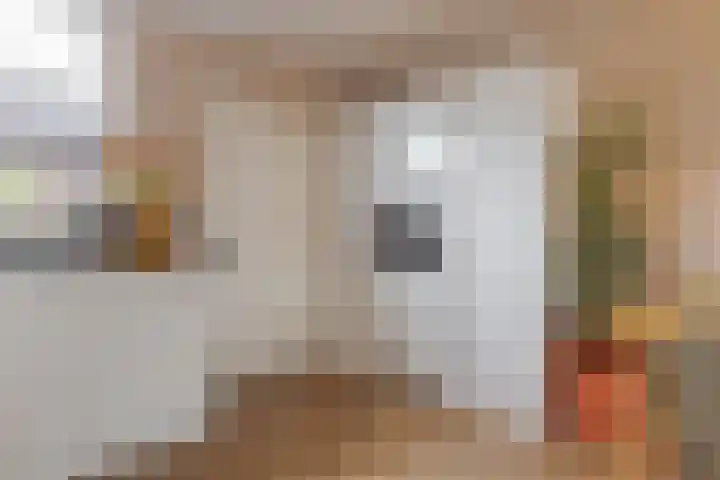 Houtingkolk 8 Zwolle thumbnail 20