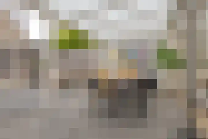 Houtingkolk 8 Zwolle thumbnail 26