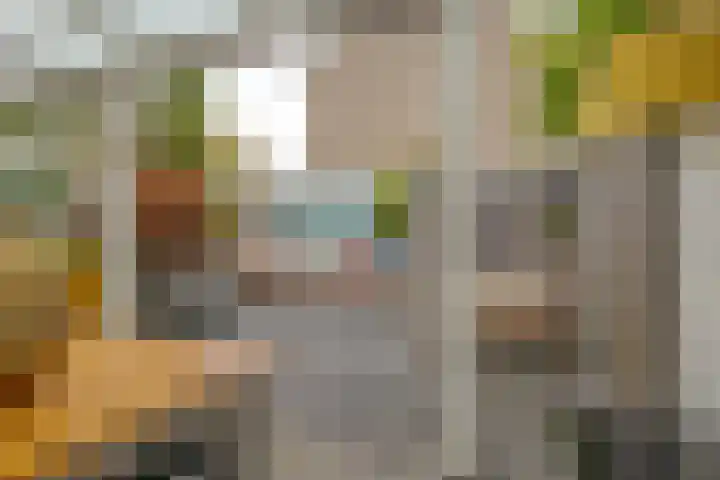 Houtingkolk 8 Zwolle thumbnail 27