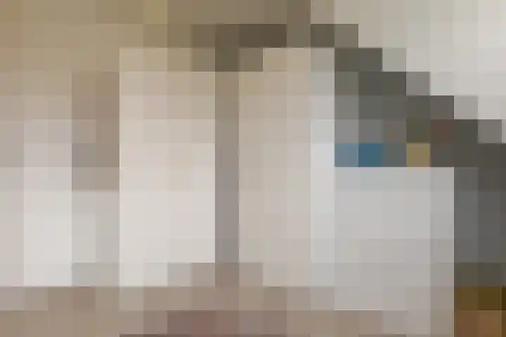 Houtingkolk 8 Zwolle thumbnail 36