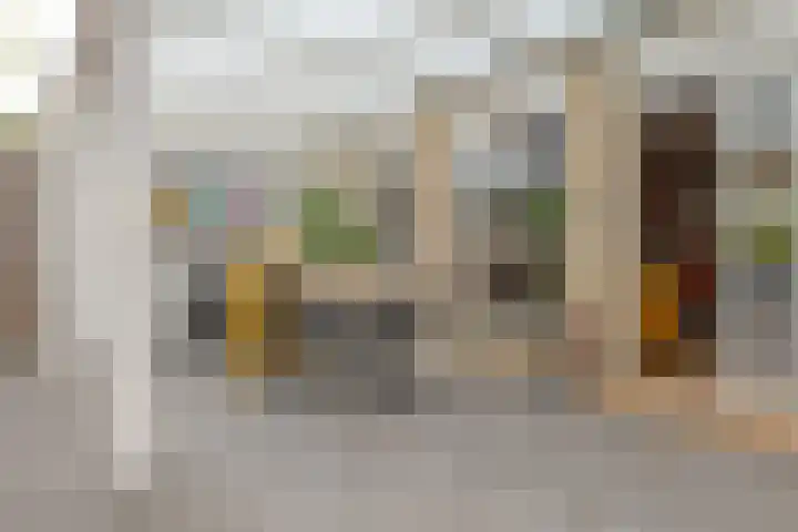 Houtingkolk 8 Zwolle thumbnail 4