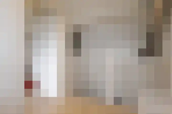 Houtingkolk 8 Zwolle thumbnail 43