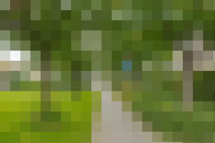 Houtingkolk 8 Zwolle thumbnail 50