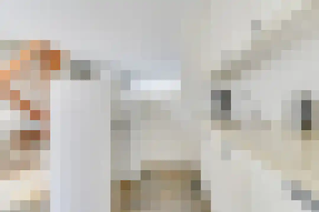 Houtjeslaan 30 Schoorl thumbnail 15