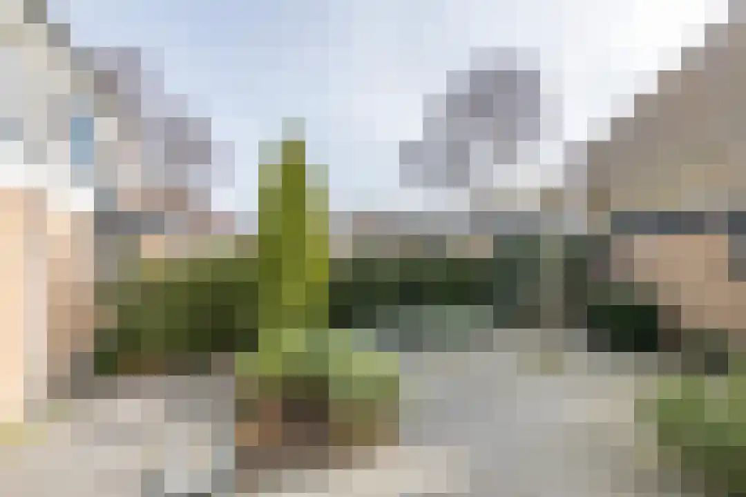Houtjeslaan 30 Schoorl thumbnail 20