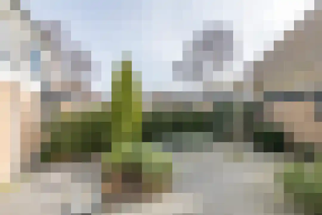 Houtjeslaan 30 Schoorl thumbnail 20