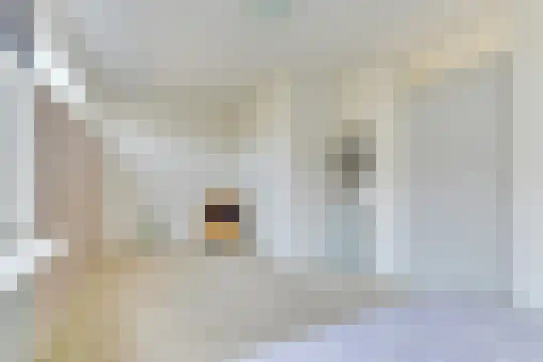 Houtjeslaan 30 Schoorl thumbnail 29
