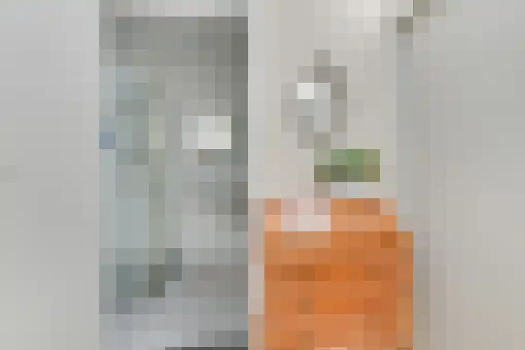 Houtjeslaan 30 Schoorl thumbnail 31
