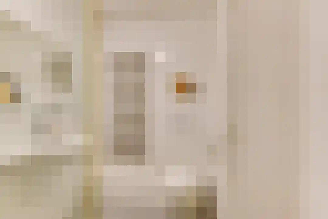 Houtjeslaan 30 Schoorl thumbnail 33