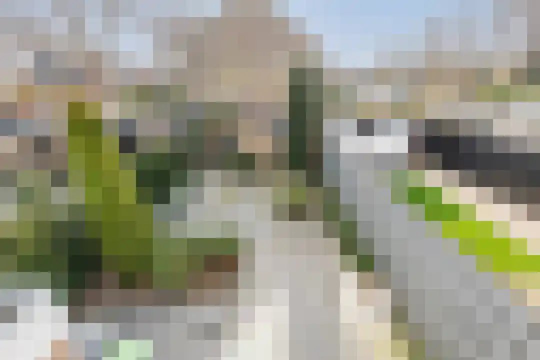 Houtjeslaan 30 Schoorl thumbnail 39