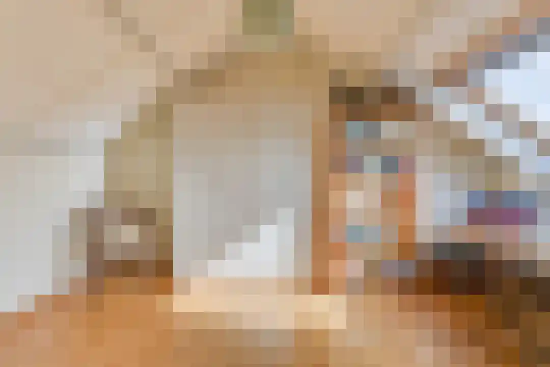 Houtjeslaan 30 Schoorl thumbnail 40